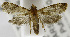  ( - USNM ENT 01069438)  @11 [ ] Unspecified (default): All Rights Reserved  Unspecified Unspecified