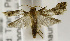  ( - USNM ENT 01069439)  @11 [ ] Unspecified (default): All Rights Reserved  Unspecified Unspecified