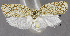  ( - USNM ENT 01069454)  @13 [ ] Unspecified (default): All Rights Reserved  Unspecified Unspecified