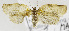  ( - USNM ENT 01069473)  @13 [ ] Unspecified (default): All Rights Reserved  Unspecified Unspecified