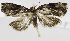  ( - USNM ENT 01069477)  @14 [ ] Unspecified (default): All Rights Reserved  Unspecified Unspecified