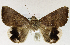  ( - USNM ENT 01069553)  @14 [ ] Unspecified (default): All Rights Reserved  Unspecified Unspecified