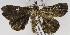  ( - USNM ENT 01175823)  @13 [ ] Unspecified (default): All Rights Reserved  Unspecified Unspecified