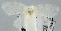  ( - USNM ENT 01178005)  @12 [ ] Unspecified (default): All Rights Reserved  Unspecified Unspecified