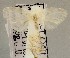  ( - USNM ENT 01178266)  @12 [ ] Unspecified (default): All Rights Reserved  Unspecified Unspecified
