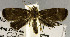  ( - USNM ENT 01178304)  @11 [ ] Unspecified (default): All Rights Reserved  Unspecified Unspecified