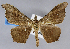  ( - USNM ENT 01373087)  @11 [ ] Unspecified (default): All Rights Reserved  Unspecified Unspecified