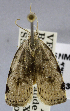  ( - USNM ENT 01373346)  @11 [ ] Unspecified (default): All Rights Reserved  Unspecified Unspecified