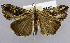  ( - USNM ENT 01374309)  @11 [ ] Unspecified (default): All Rights Reserved  Unspecified Unspecified