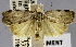  ( - USNM ENT 01374320)  @11 [ ] Unspecified (default): All Rights Reserved  Unspecified Unspecified