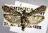  ( - USNM ENT 01374325)  @11 [ ] Unspecified (default): All Rights Reserved  Unspecified Unspecified