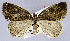  ( - USNM ENT 01374344)  @11 [ ] Unspecified (default): All Rights Reserved  Unspecified Unspecified