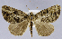  ( - USNM ENT 01374345)  @11 [ ] Unspecified (default): All Rights Reserved  Unspecified Unspecified