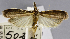  ( - USNM ENT 01374367)  @11 [ ] Unspecified (default): All Rights Reserved  Unspecified Unspecified