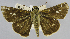  ( - USNM ENT 01374396)  @11 [ ] Unspecified (default): All Rights Reserved  Unspecified Unspecified