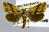  ( - USNM ENT 01374399)  @11 [ ] Unspecified (default): All Rights Reserved  Unspecified Unspecified