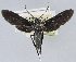  ( - USNM ENT 01374426)  @11 [ ] Unspecified (default): All Rights Reserved  Unspecified Unspecified