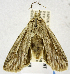  ( - USNM ENT 01374448)  @11 [ ] Unspecified (default): All Rights Reserved  Unspecified Unspecified