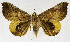  ( - USNM ENT 01374697)  @11 [ ] Unspecified (default): All Rights Reserved  Unspecified Unspecified