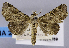  ( - USNM ENT 01374769)  @11 [ ] Unspecified (default): All Rights Reserved  Unspecified Unspecified