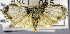  ( - USNM ENT 00796640)  @13 [ ] Unspecified (default): All Rights Reserved  Unspecified Unspecified