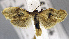  ( - USNM ENT 00799858)  @11 [ ] Unspecified (default): All Rights Reserved  Unspecified Unspecified