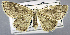  ( - USNM ENT 00799240)  @11 [ ] Unspecified (default): All Rights Reserved  Unspecified Unspecified