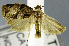  ( - USNM ENT 00799957)  @11 [ ] Unspecified (default): All Rights Reserved  Unspecified Unspecified