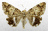  ( - USNM ENT 01067496)  @14 [ ] Unspecified (default): All Rights Reserved  Unspecified Unspecified