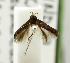  ( - USNM ENT 01068460)  @11 [ ] Unspecified (default): All Rights Reserved  Unspecified Unspecified