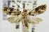  ( - USNM ENT 01068583)  @11 [ ] Unspecified (default): All Rights Reserved  Unspecified Unspecified