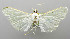  ( - USNM ENT 01068591)  @11 [ ] Unspecified (default): All Rights Reserved  Unspecified Unspecified