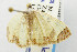  ( - USNM ENT 01068594)  @11 [ ] Unspecified (default): All Rights Reserved  Unspecified Unspecified
