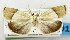  ( - USNM ENT 01068615)  @14 [ ] Unspecified (default): All Rights Reserved  Unspecified Unspecified