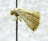  ( - USNM ENT 01069245)  @12 [ ] Unspecified (default): All Rights Reserved  Unspecified Unspecified