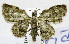  ( - USNM ENT 01069315)  @14 [ ] Unspecified (default): All Rights Reserved  Unspecified Unspecified