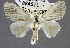  ( - USNM ENT 01069334)  @11 [ ] Unspecified (default): All Rights Reserved  Unspecified Unspecified