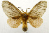  ( - USNM ENT 01069356)  @11 [ ] Unspecified (default): All Rights Reserved  Unspecified Unspecified