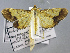  ( - USNM ENT 01178291)  @11 [ ] Unspecified (default): All Rights Reserved  Unspecified Unspecified