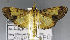  ( - USNM ENT 01178275)  @11 [ ] Unspecified (default): All Rights Reserved  Unspecified Unspecified