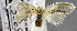  ( - USNM ENT 00799740)  @11 [ ] Unspecified (default): All Rights Reserved  Unspecified Unspecified