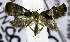  ( - USNM ENT 01019825)  @11 [ ] Unspecified (default): All Rights Reserved  Unspecified Unspecified