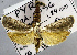  ( - USNM ENT 00799930)  @11 [ ] Unspecified (default): All Rights Reserved  Unspecified Unspecified