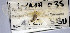  ( - USNM ENT 00796783)  @11 [ ] Unspecified (default): All Rights Reserved  Unspecified Unspecified