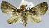  ( - USNM ENT 01373506)  @11 [ ] Unspecified (default): All Rights Reserved  Unspecified Unspecified