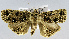  ( - USNM ENT 00799567)  @11 [ ] Unspecified (default): All Rights Reserved  Unspecified Unspecified