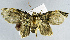  ( - USNM ENT 00796634)  @11 [ ] Unspecified (default): All Rights Reserved  Unspecified Unspecified