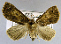  ( - USNM ENT 01373507)  @11 [ ] Unspecified (default): All Rights Reserved  Unspecified Unspecified