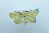  (Paliga sp. AAE3759 - USNM ENT 00510766)  @13 [ ] Unspecified (default): All Rights Reserved  Unspecified Unspecified