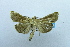  ( - USNM ENT 00512212)  @13 [ ] Unspecified (default): All Rights Reserved  Unspecified Unspecified